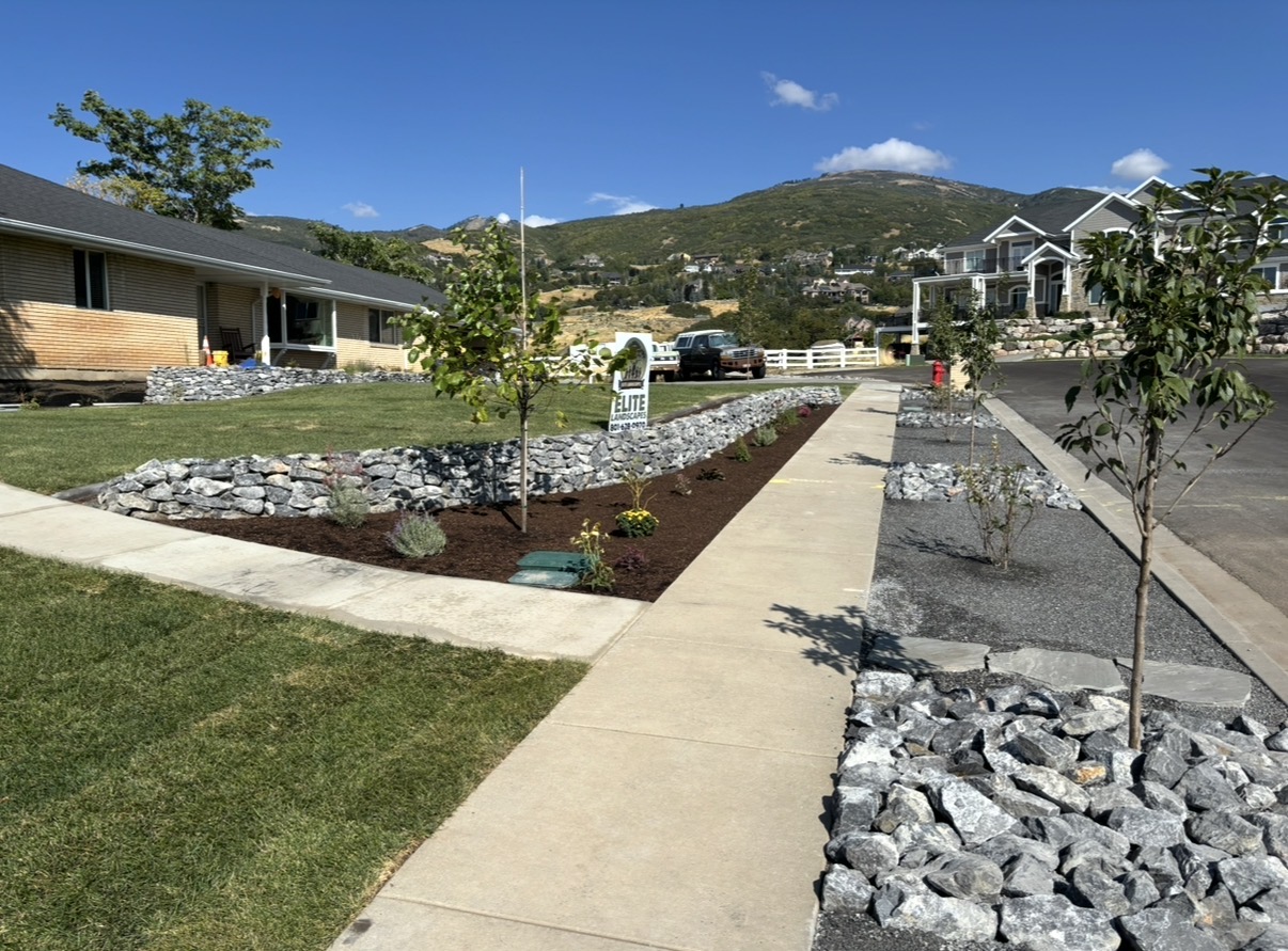Xeriscape parking strip with mailbox feature and Wasatch view