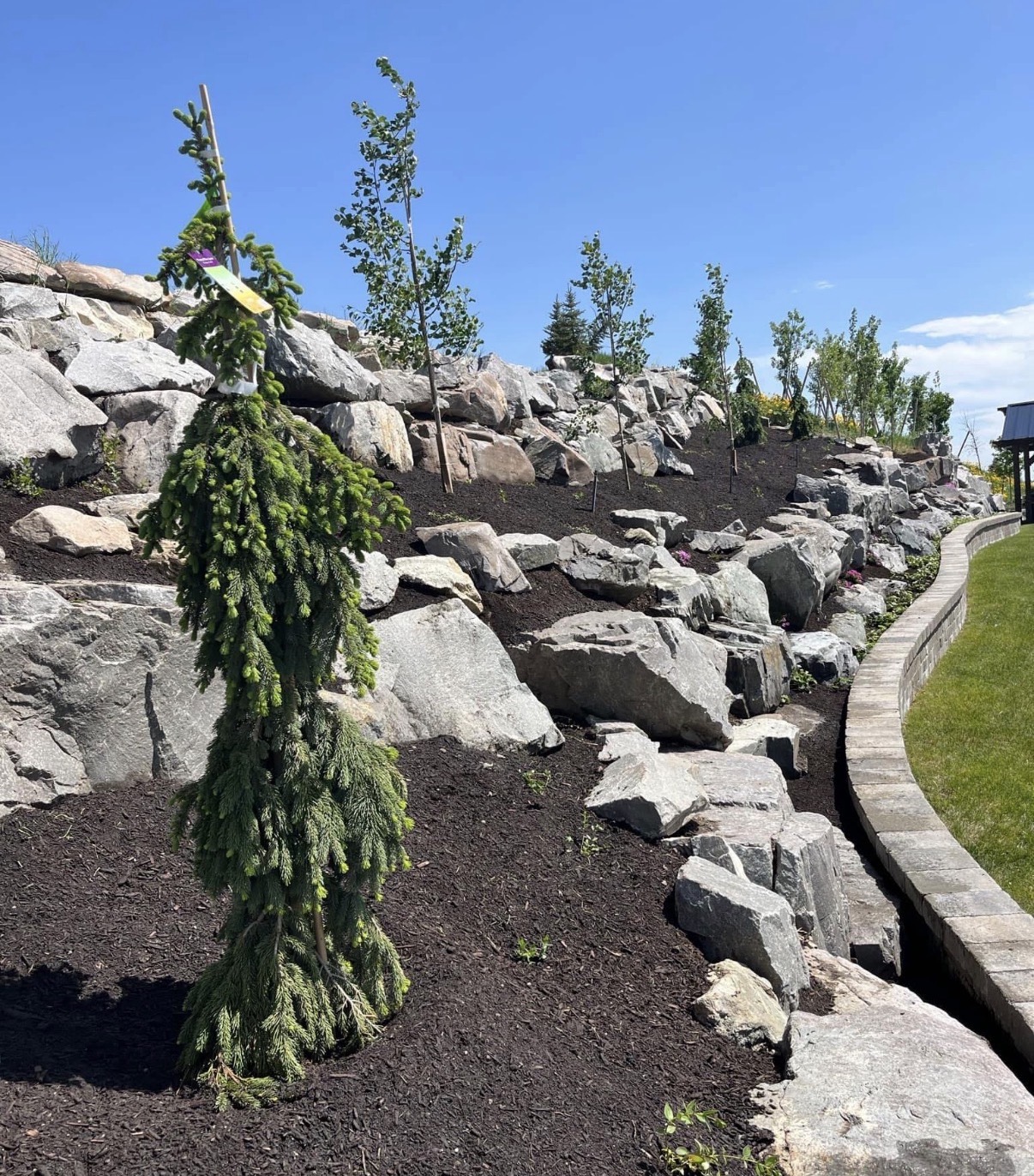 Boulder slope with planting and dark mulch beds